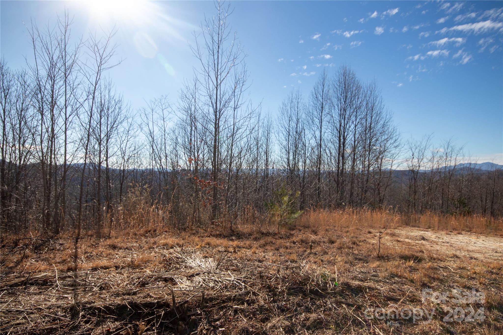 Lot# 134 Fire Crest Lane Lenoir NC 28645