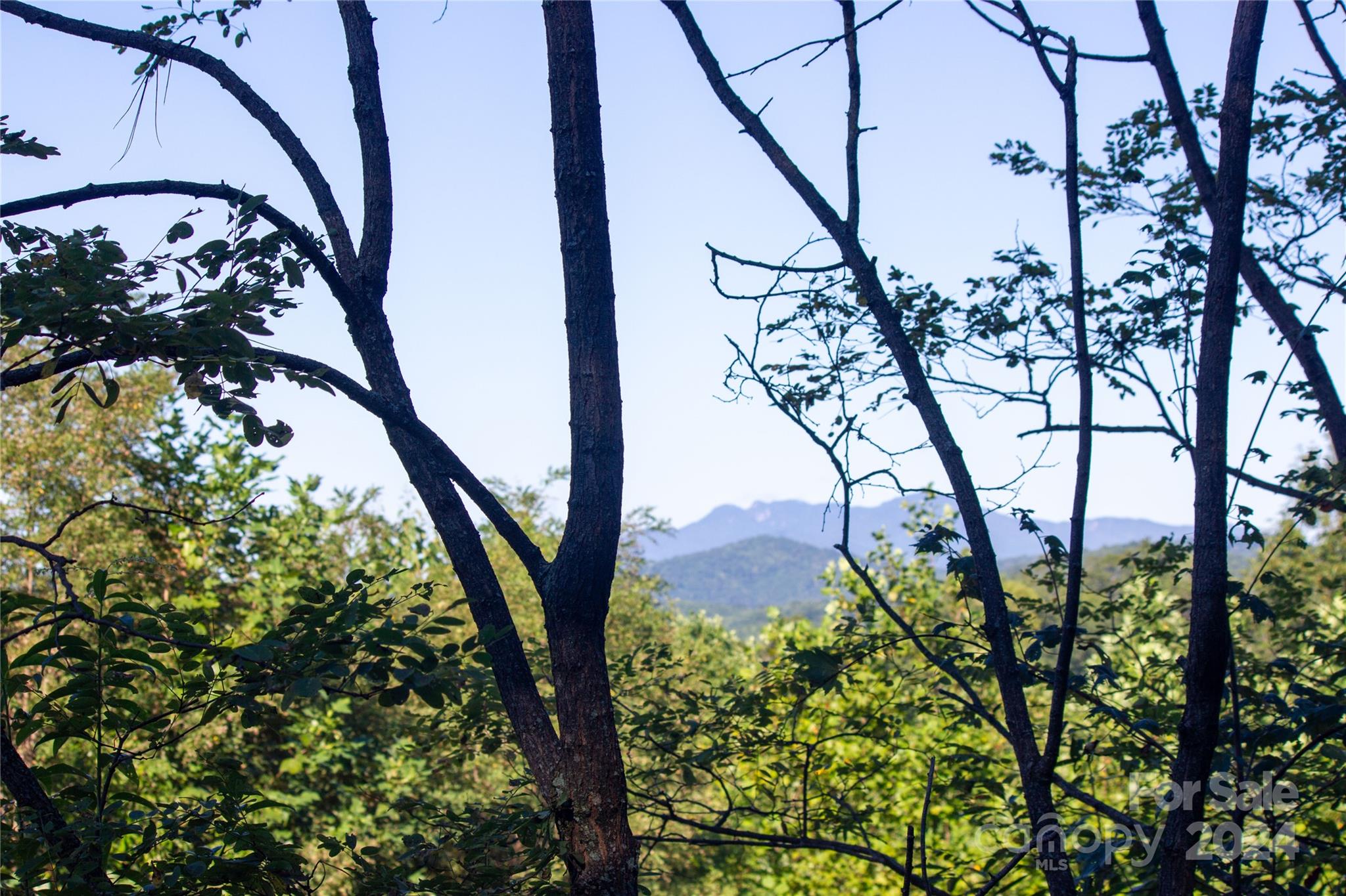 Lot# 134 Fire Crest Lane Lenoir NC 28645