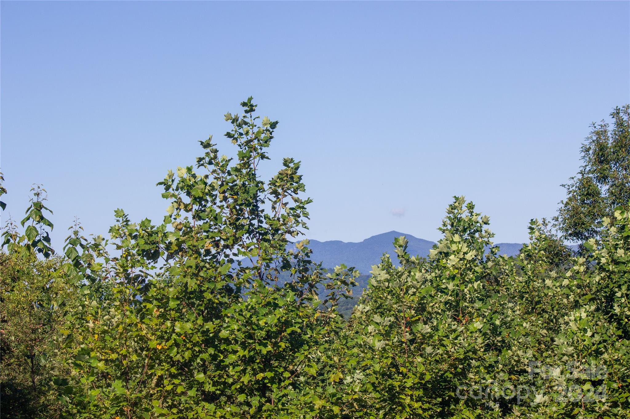 Lot# 134 Fire Crest Lane Lenoir NC 28645
