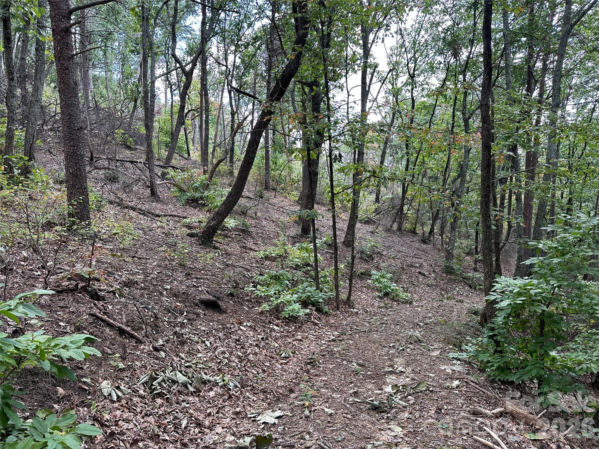 0 Hildebran Mountain Avenue Connelly Springs NC 28612