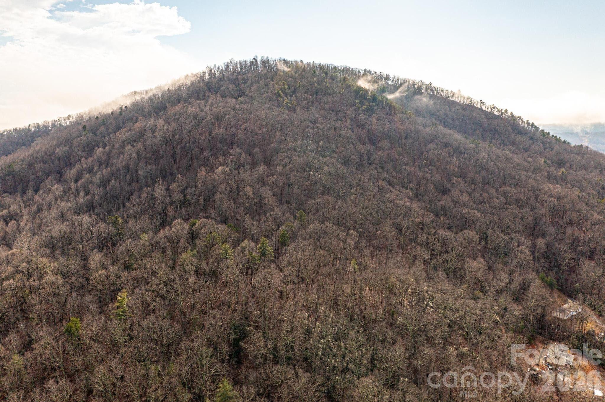 0 Hildebran Mountain Avenue Connelly Springs NC 28612