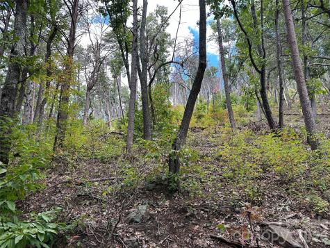 0 Hildebran Mountain Avenue Connelly Springs NC 28612