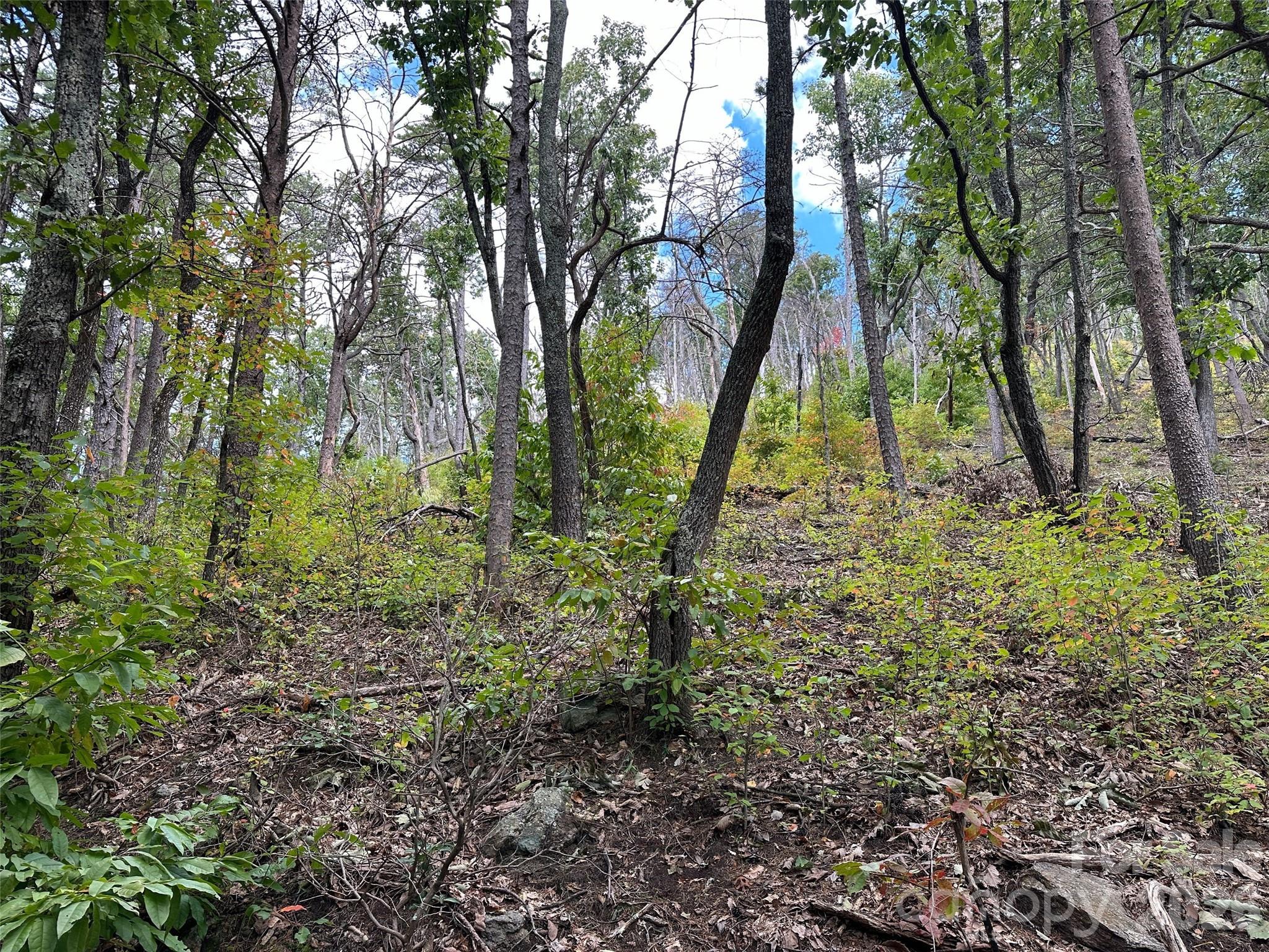 0 Hildebran Mountain Avenue Connelly Springs NC 28612