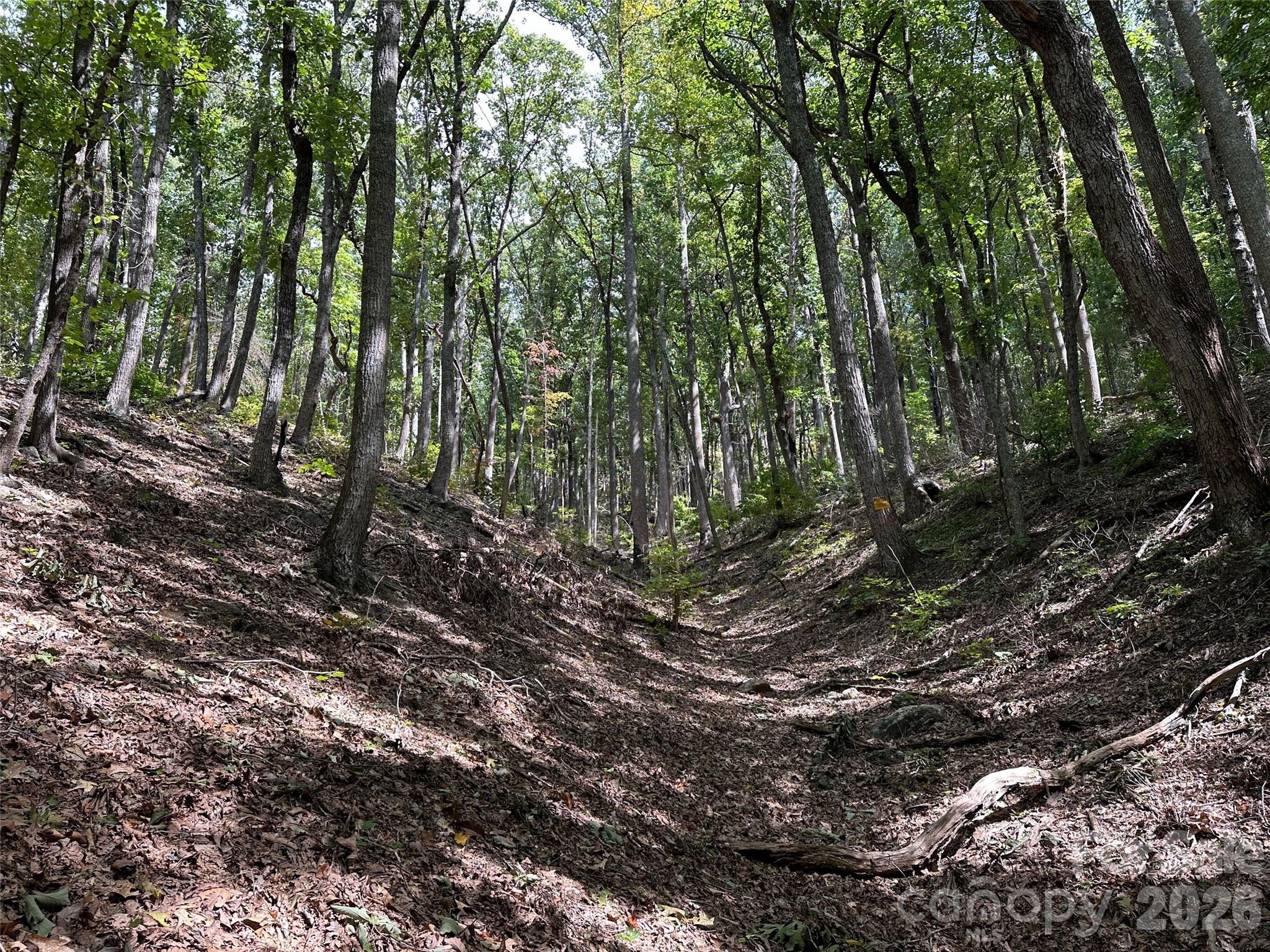 0 Hildebran Mountain Avenue Connelly Springs NC 28612