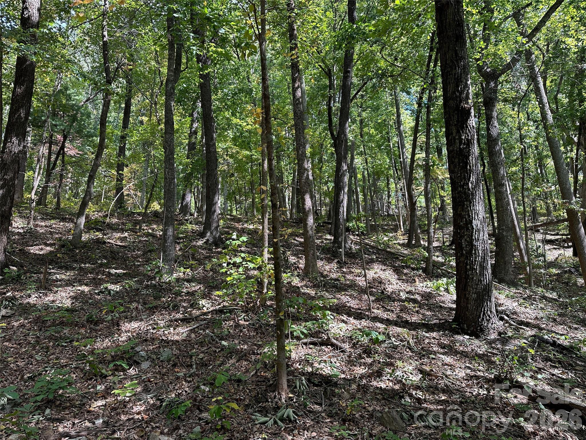 0 Hildebran Mountain Avenue Connelly Springs NC 28612