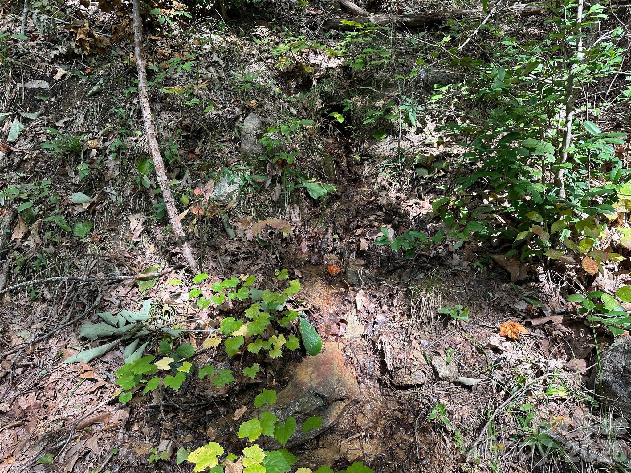 0 Hildebran Mountain Avenue Connelly Springs NC 28612