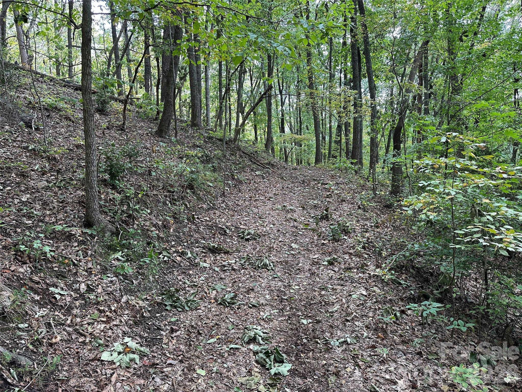0 Hildebran Mountain Avenue Connelly Springs NC 28612