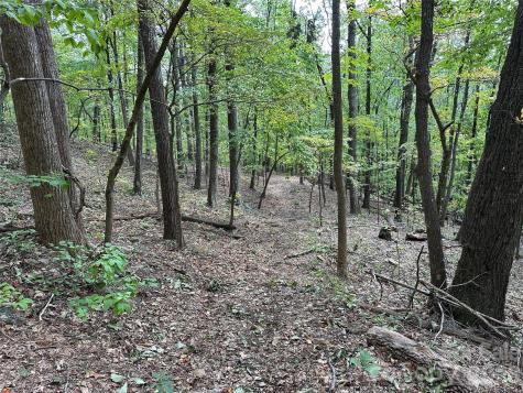 0 Hildebran Mountain Avenue Connelly Springs NC 28612