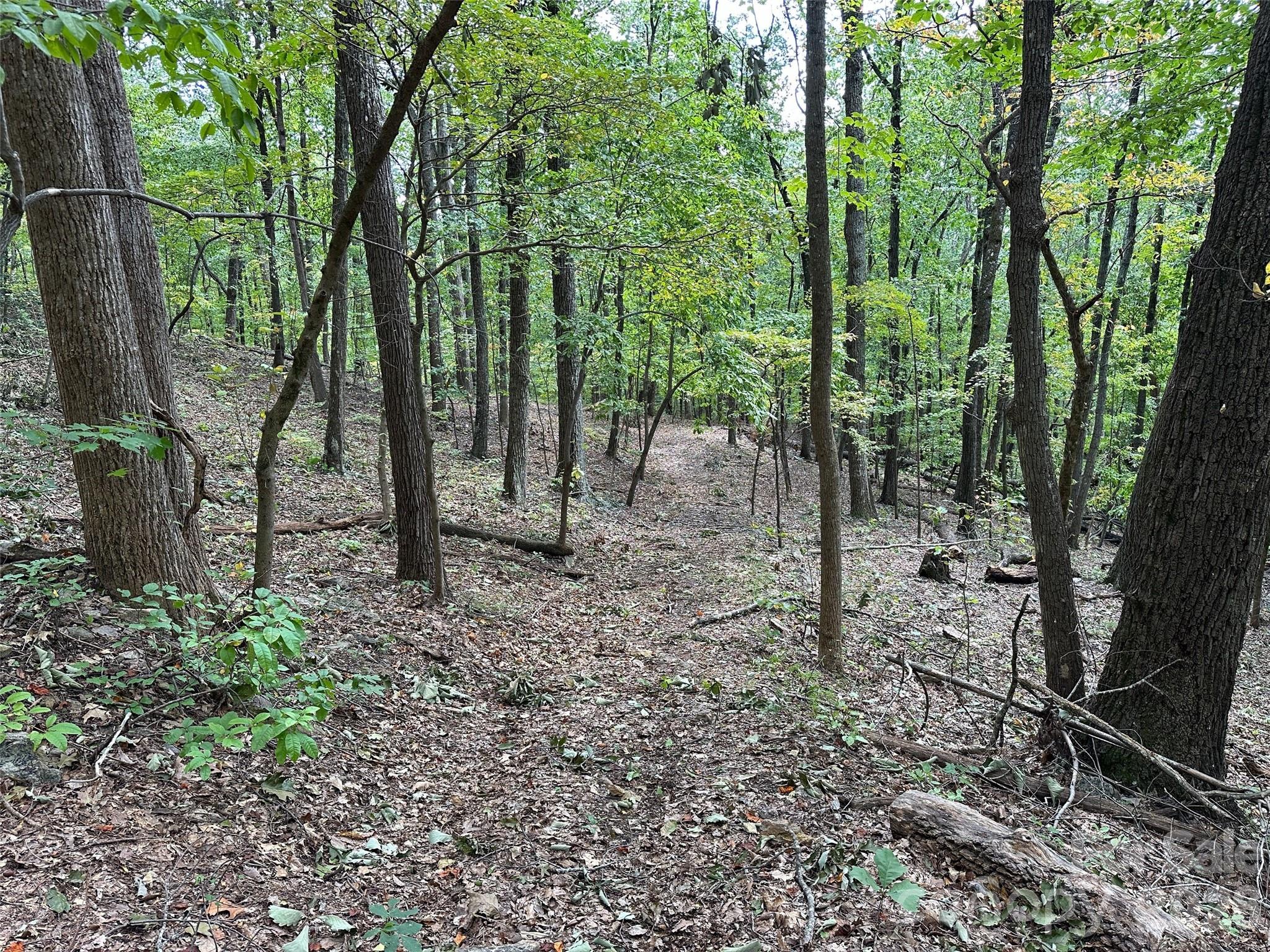 0 Hildebran Mountain Avenue Connelly Springs NC 28612