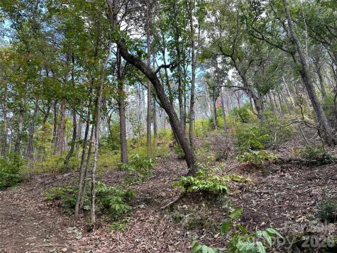 0 Hildebran Mountain Avenue Connelly Springs NC 28612