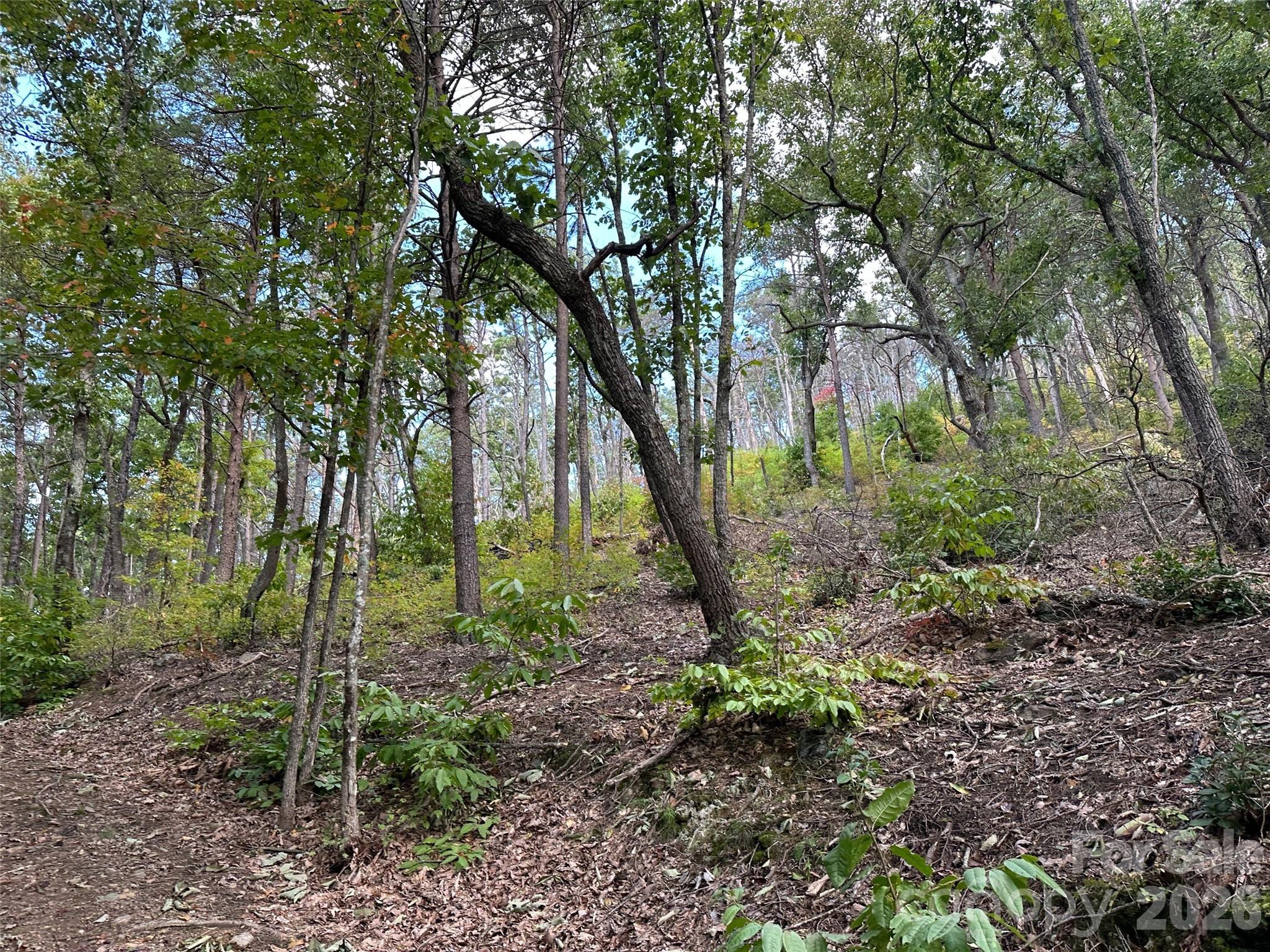0 Hildebran Mountain Avenue Connelly Springs NC 28612