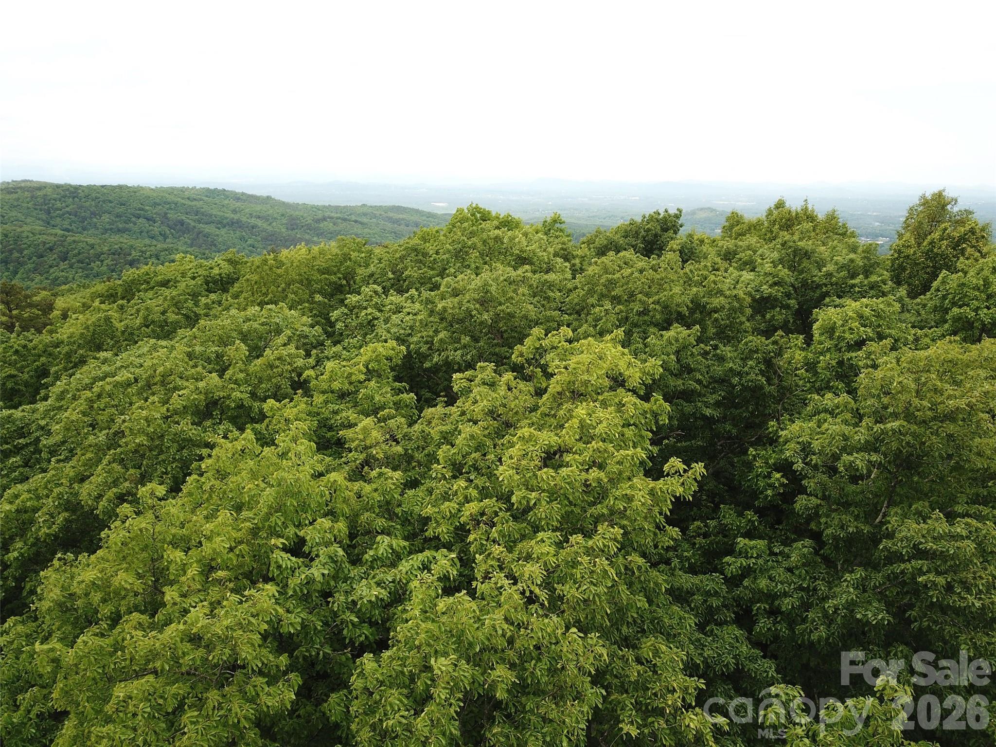 0 Hildebran Mountain Avenue Connelly Springs NC 28612