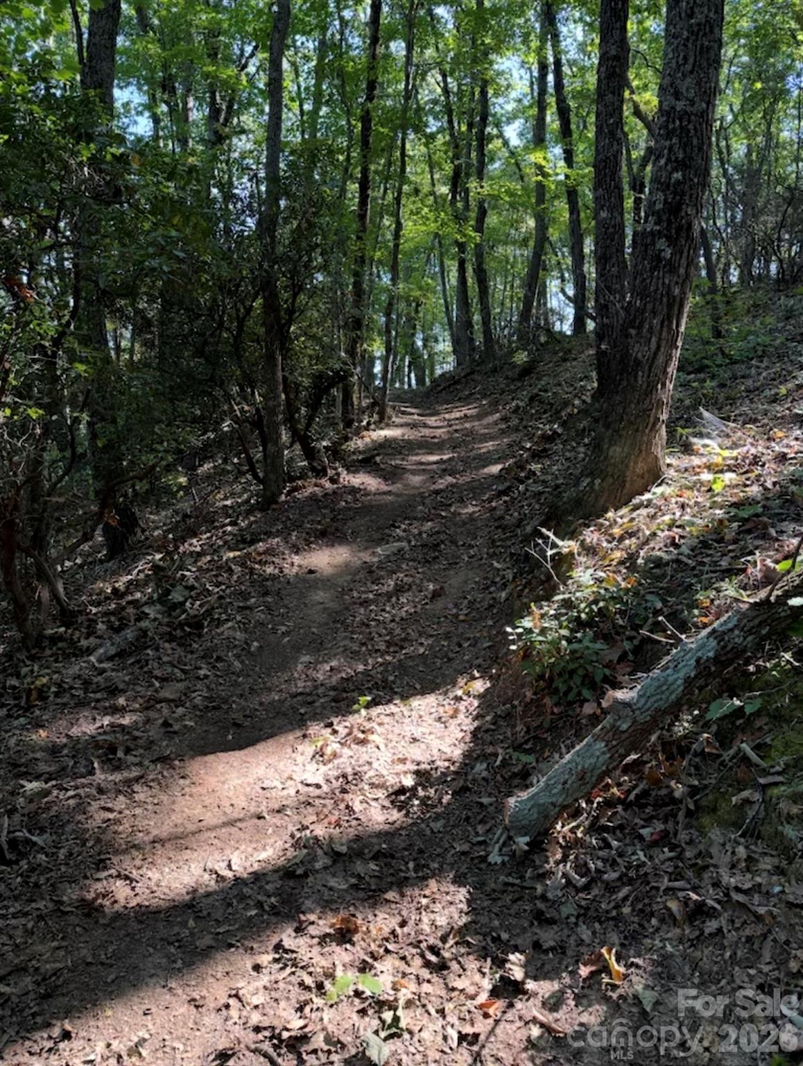 0 Hildebran Mountain Avenue Connelly Springs NC 28612