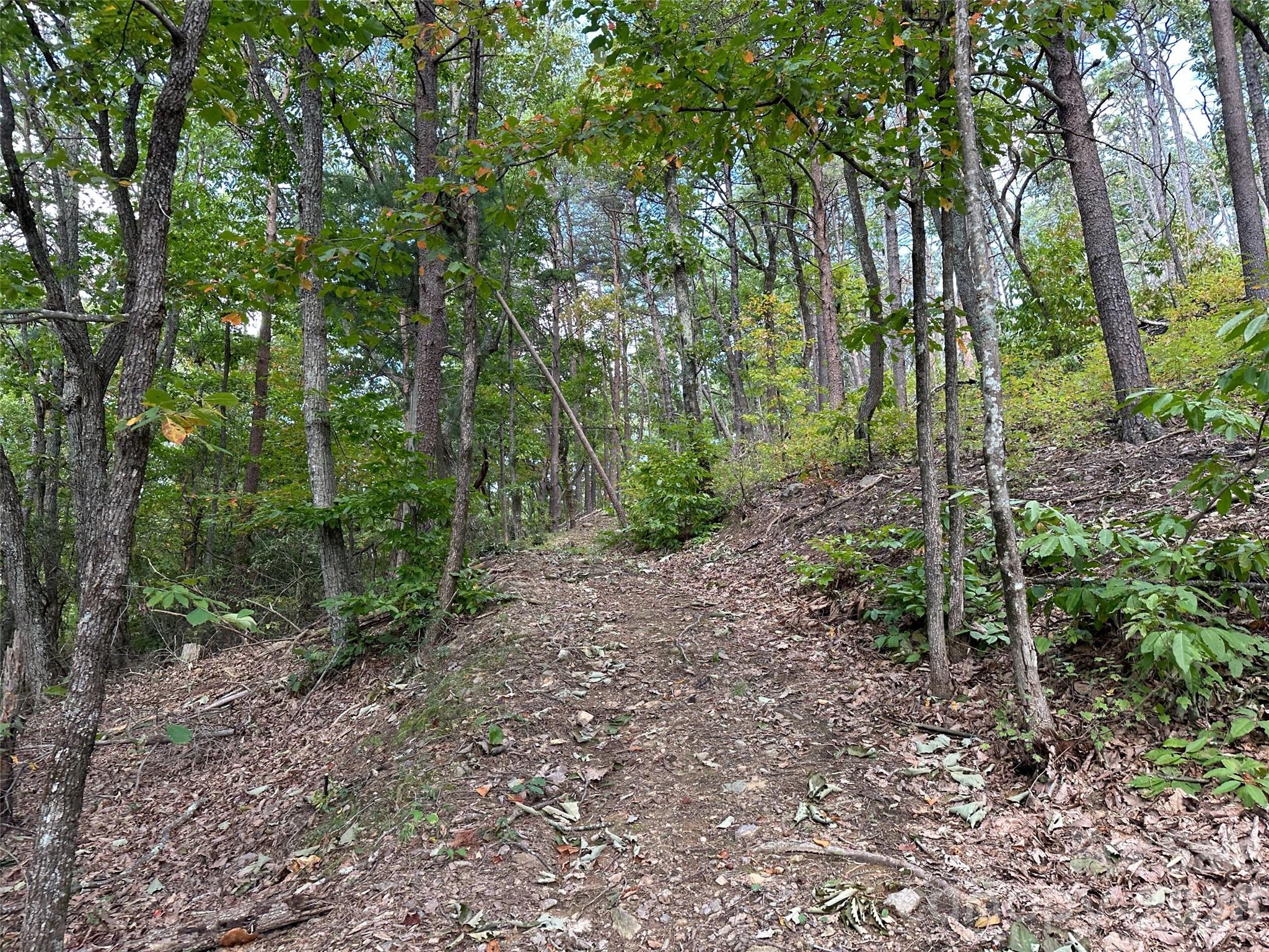 0 Hildebran Mountain Avenue Connelly Springs NC 28612