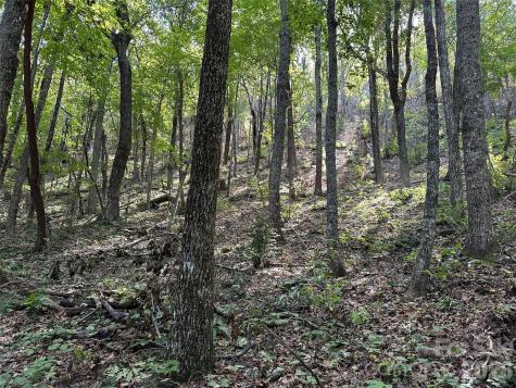 0 Hildebran Mountain Avenue Connelly Springs NC 28612