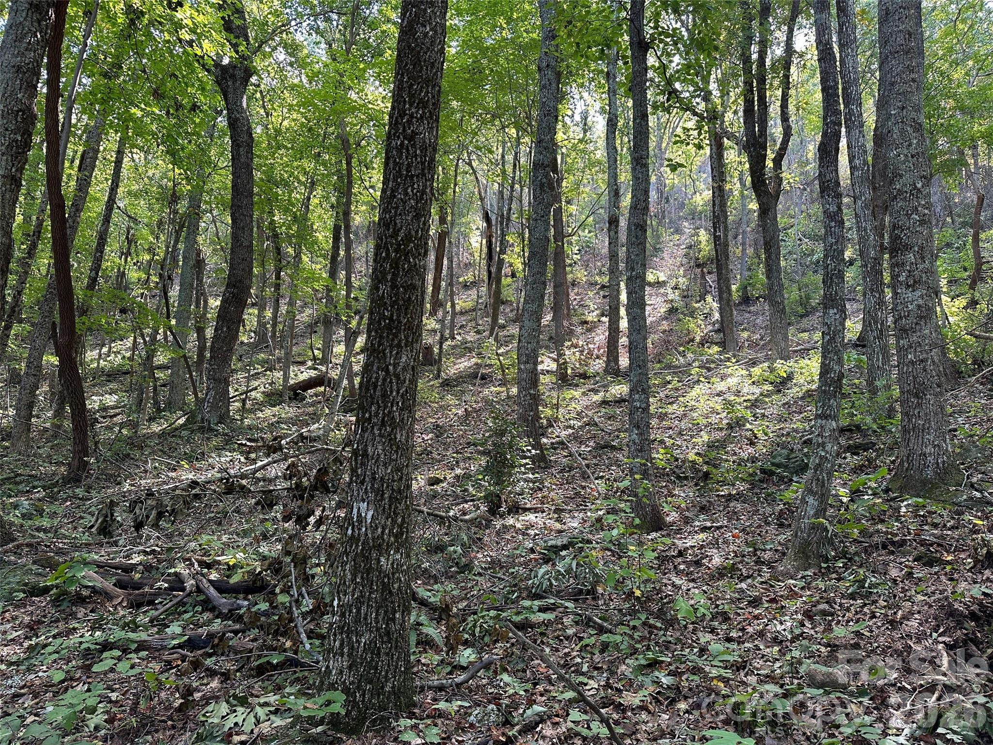0 Hildebran Mountain Avenue Connelly Springs NC 28612
