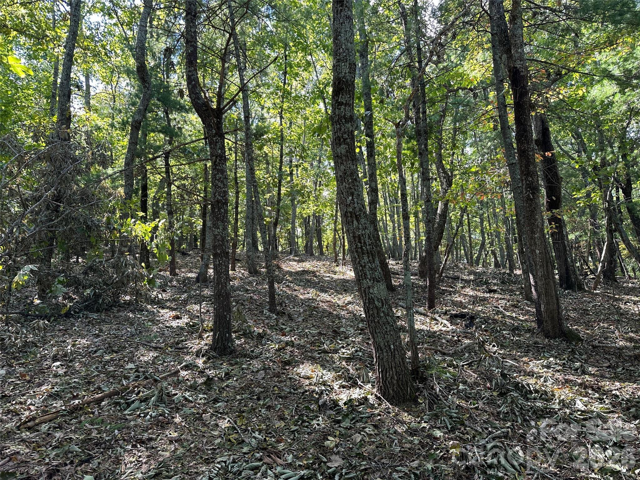 0 Hildebran Mountain Avenue Connelly Springs NC 28612