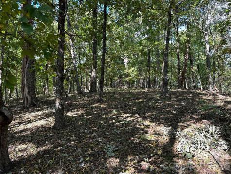0 Hildebran Mountain Avenue Connelly Springs NC 28612