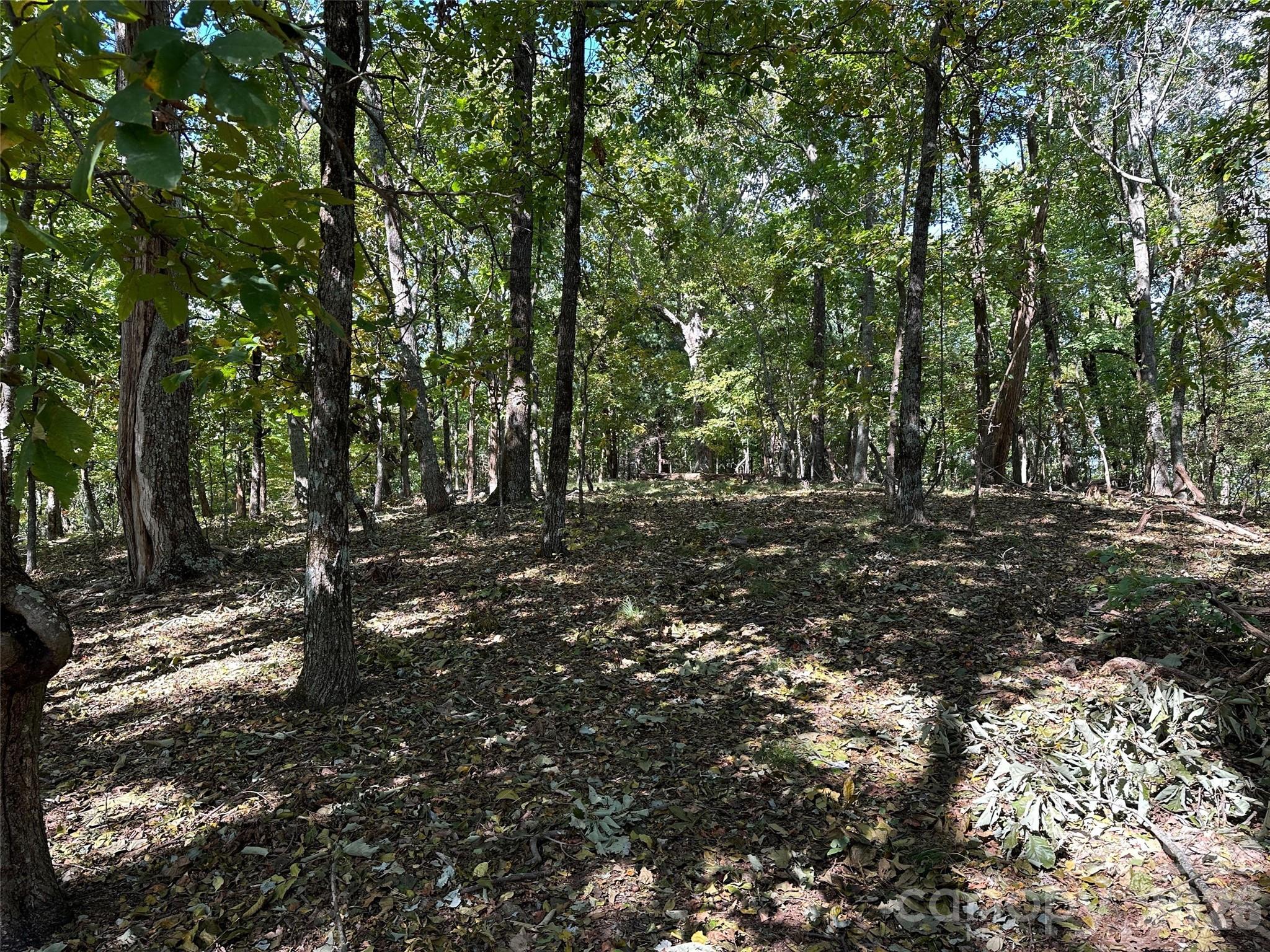 0 Hildebran Mountain Avenue Connelly Springs NC 28612