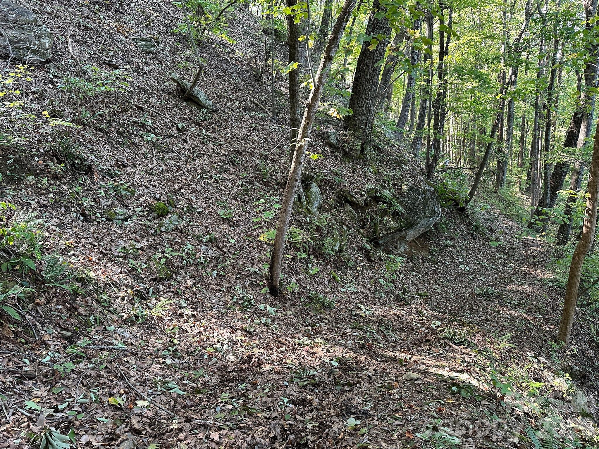 0 Hildebran Mountain Avenue Connelly Springs NC 28612