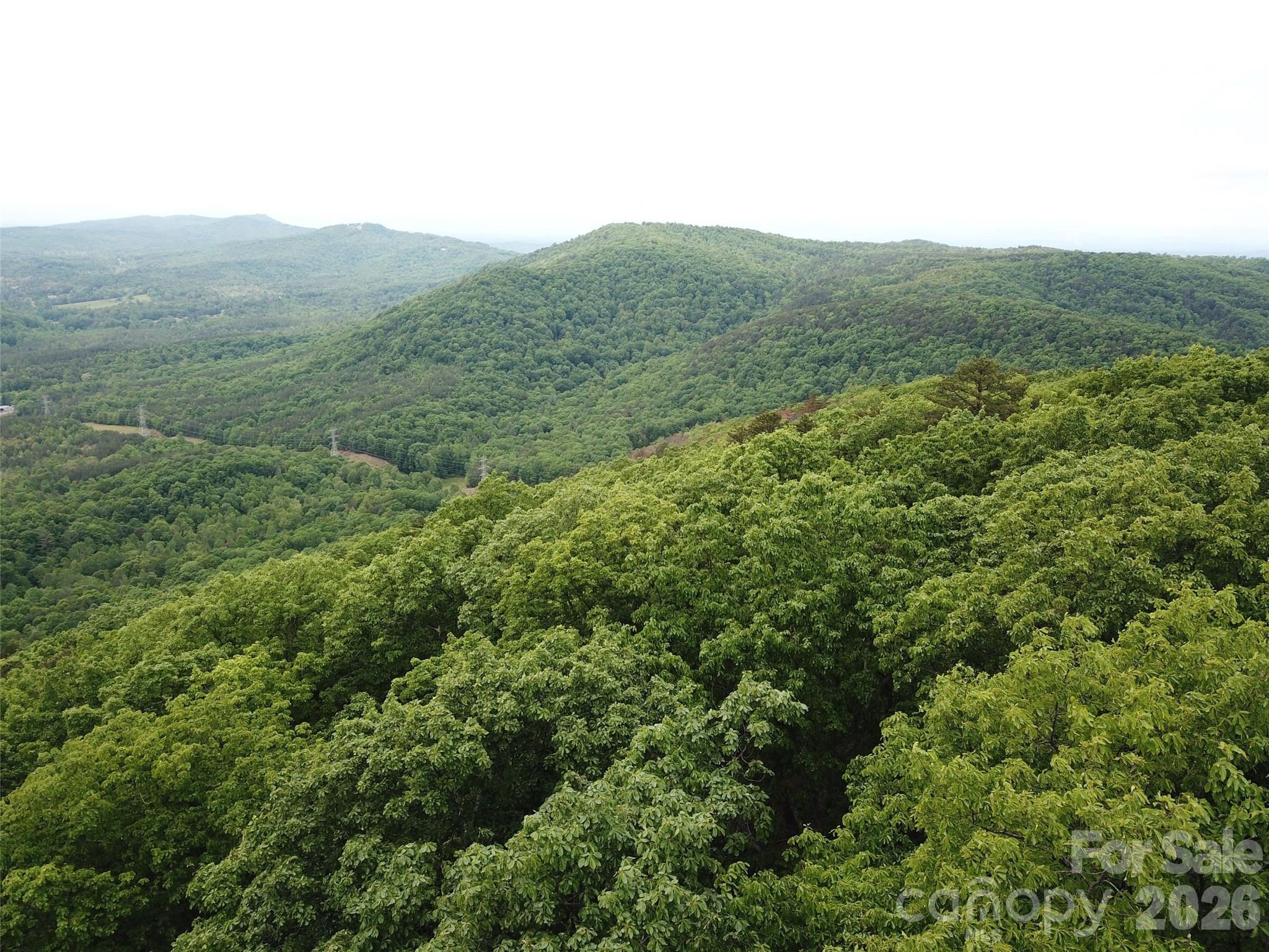 0 Hildebran Mountain Avenue Connelly Springs NC 28612