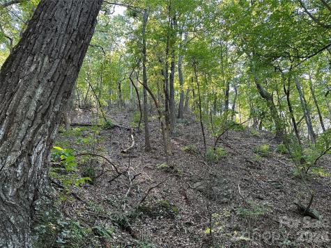 0 Hildebran Mountain Avenue Connelly Springs NC 28612