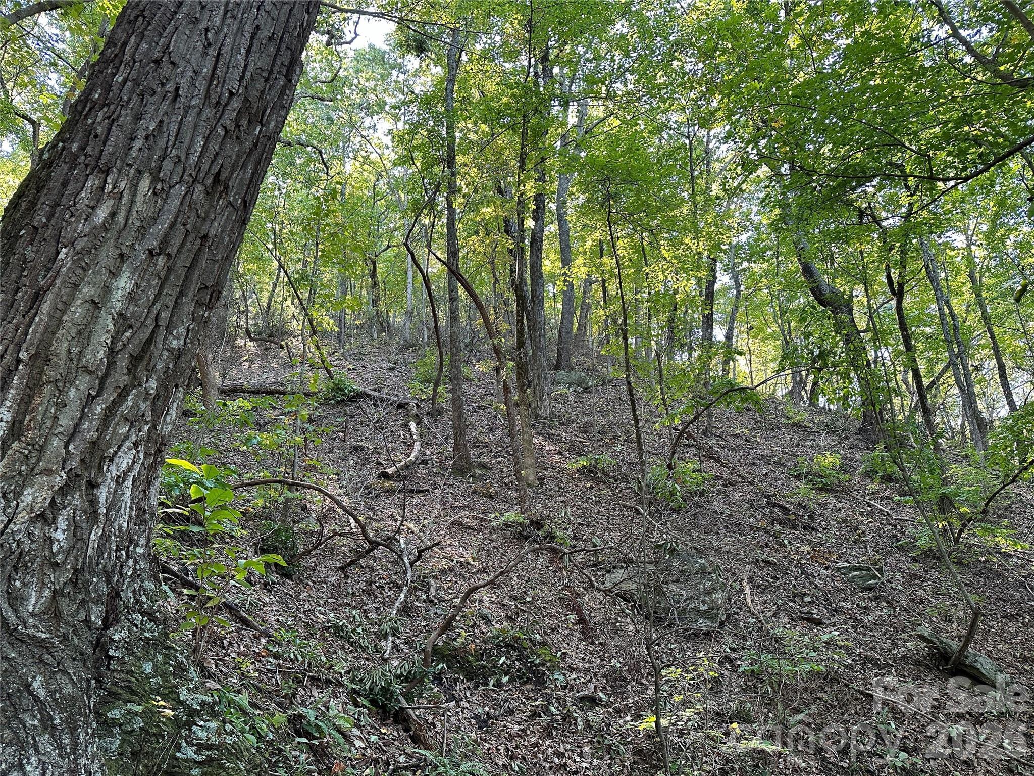 0 Hildebran Mountain Avenue Connelly Springs NC 28612