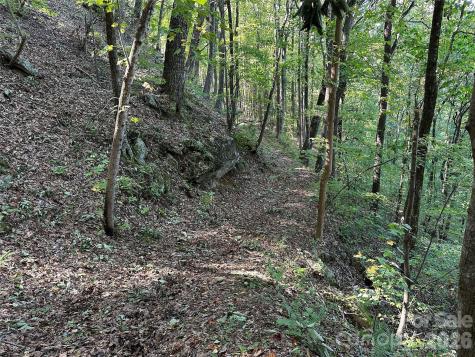 0 Hildebran Mountain Avenue Connelly Springs NC 28612