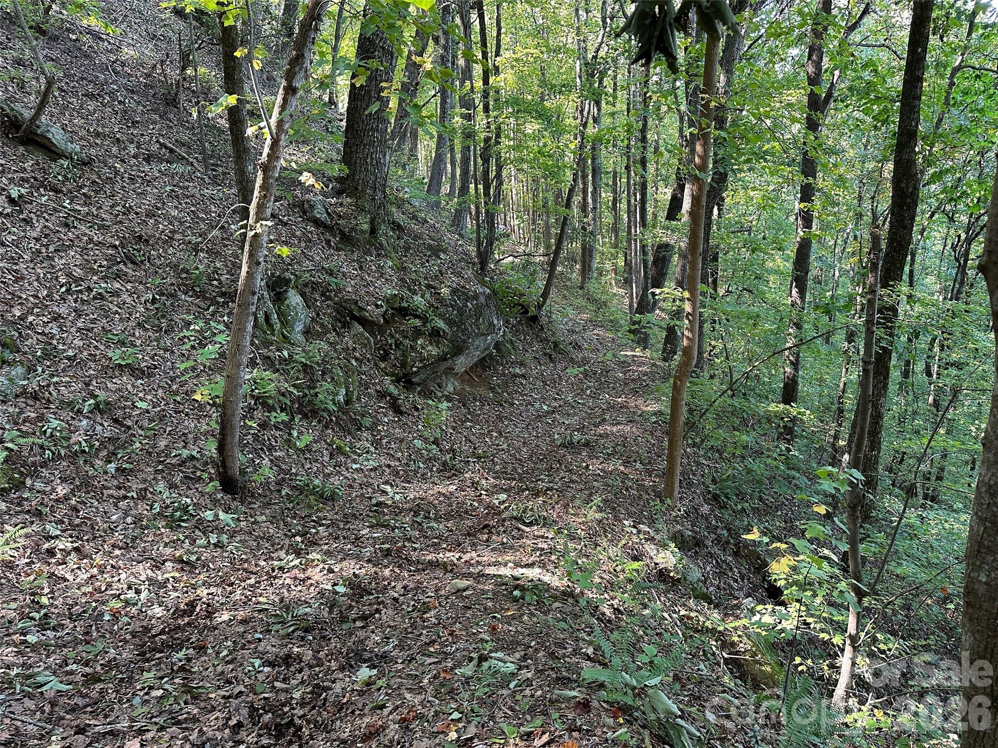 0 Hildebran Mountain Avenue Connelly Springs NC 28612