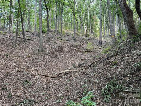 0 Hildebran Mountain Avenue Connelly Springs NC 28612