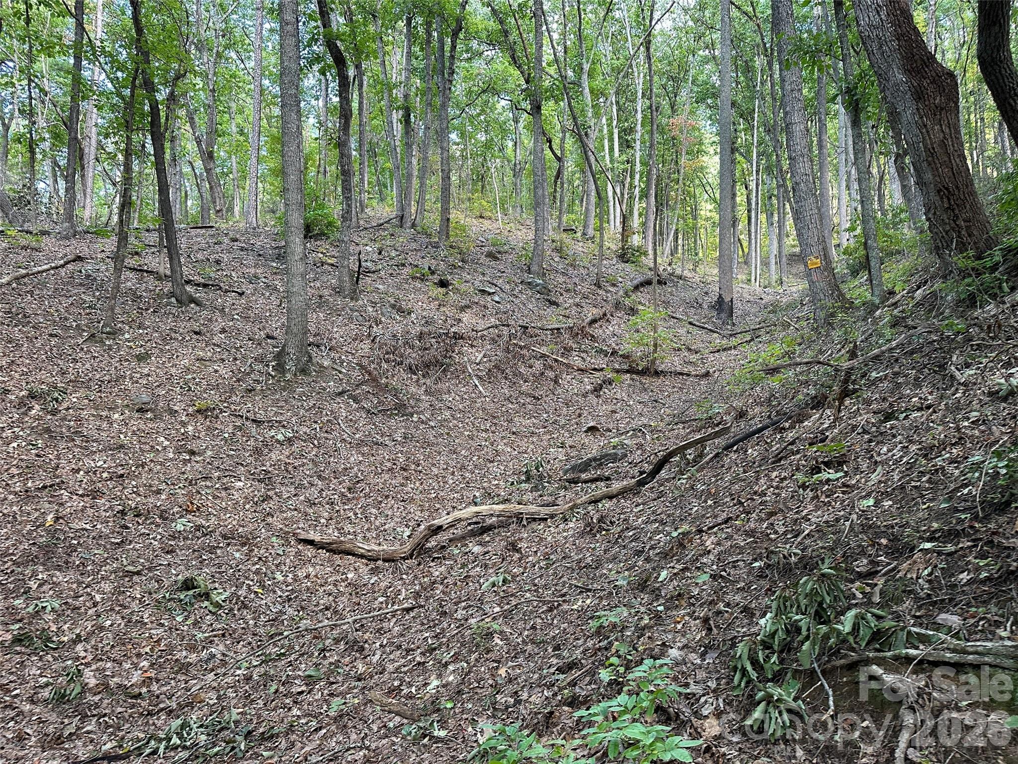 0 Hildebran Mountain Avenue Connelly Springs NC 28612