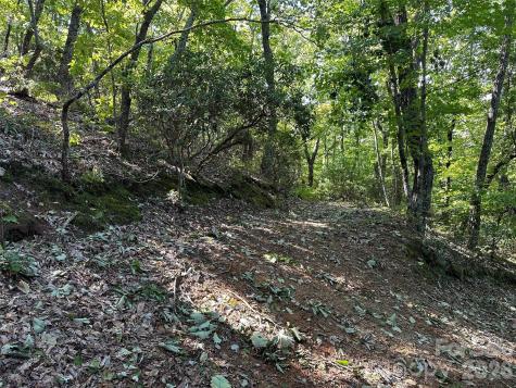 0 Hildebran Mountain Avenue Connelly Springs NC 28612