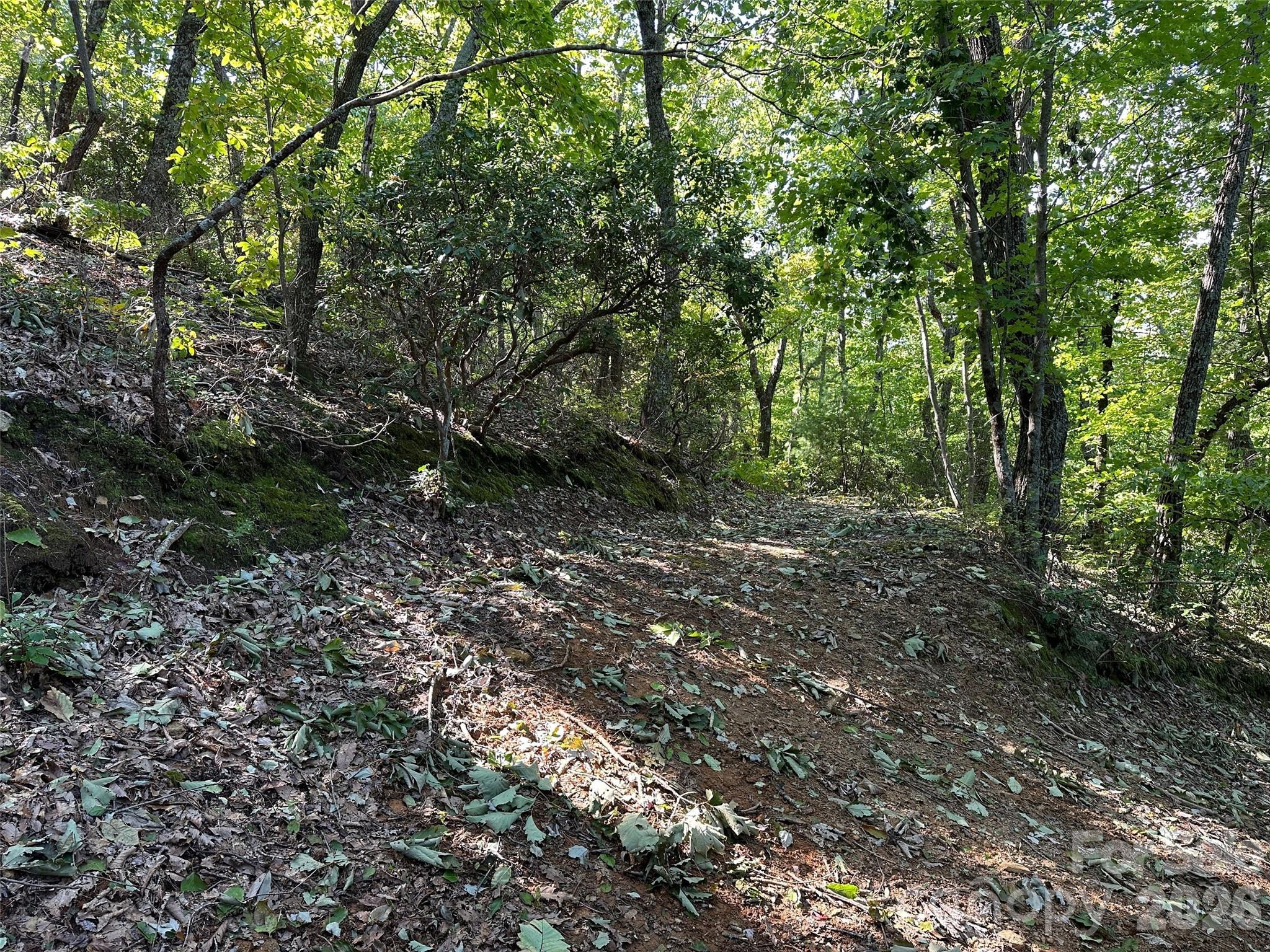0 Hildebran Mountain Avenue Connelly Springs NC 28612