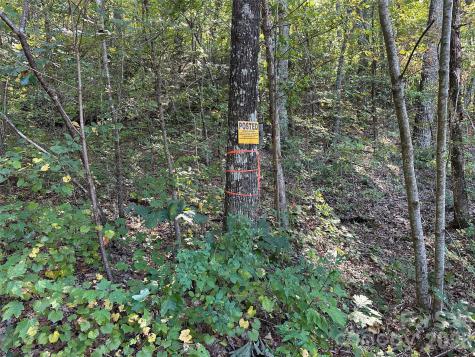 0 Hildebran Mountain Avenue Connelly Springs NC 28612
