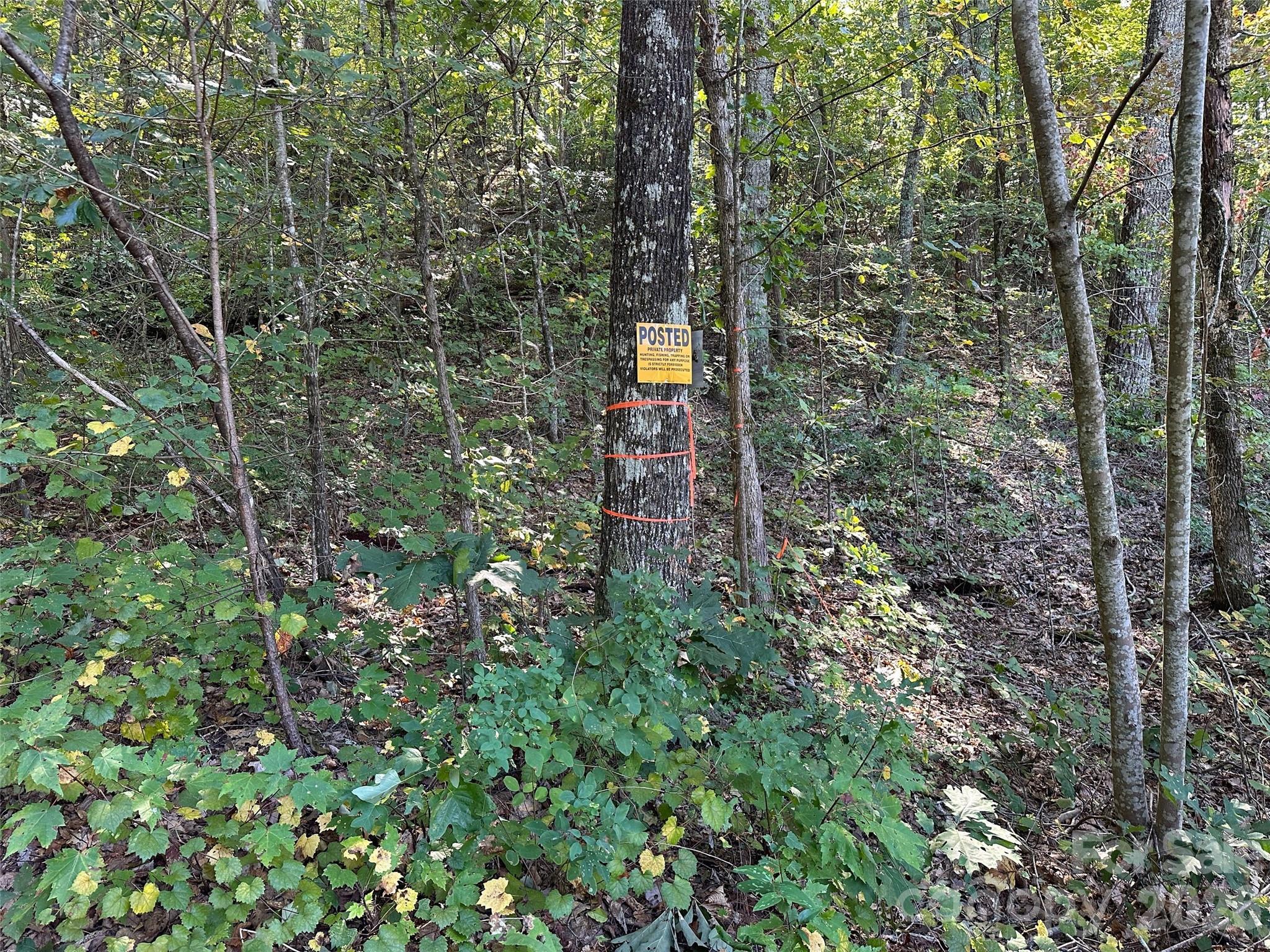 0 Hildebran Mountain Avenue Connelly Springs NC 28612