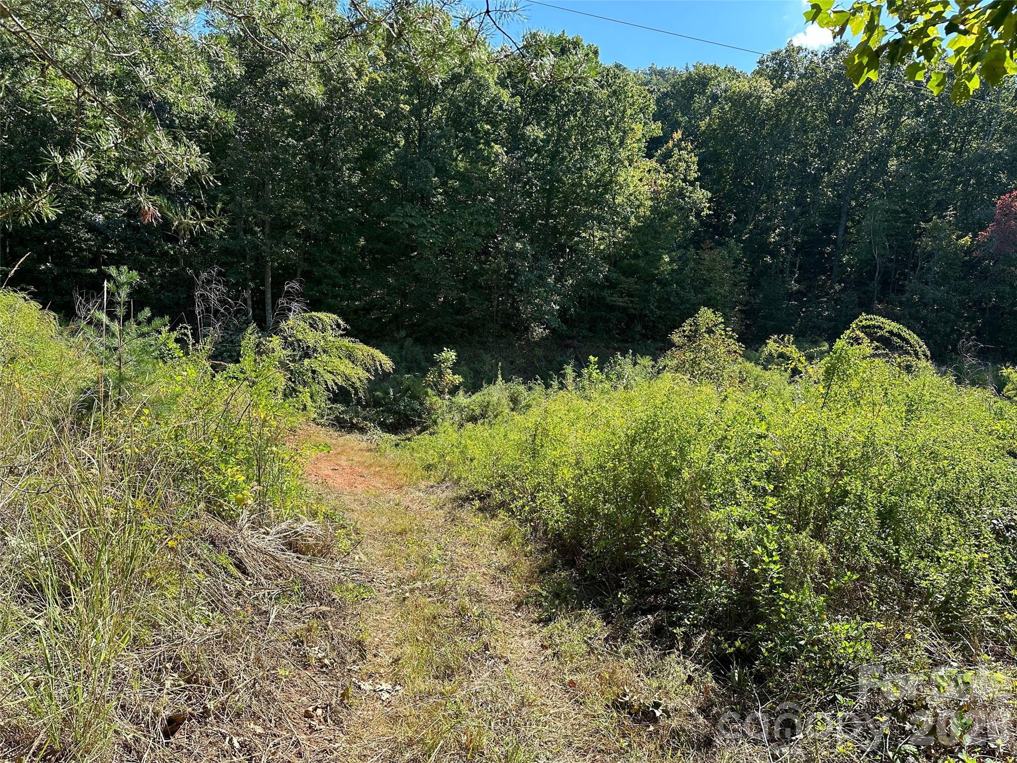 0 Hildebran Mountain Avenue Connelly Springs NC 28612