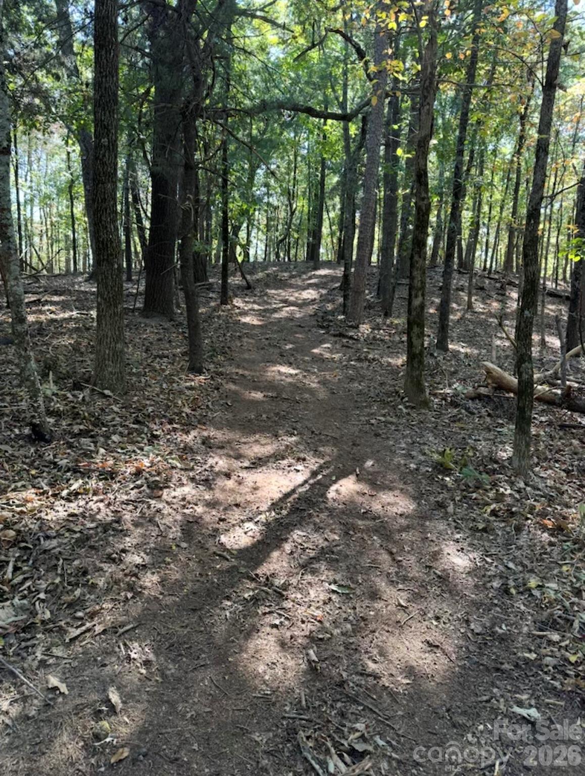 0 Hildebran Mountain Avenue Connelly Springs NC 28612