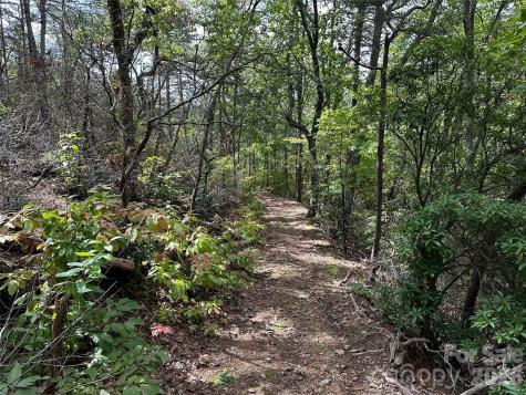 0 Hildebran Mountain Avenue Connelly Springs NC 28612