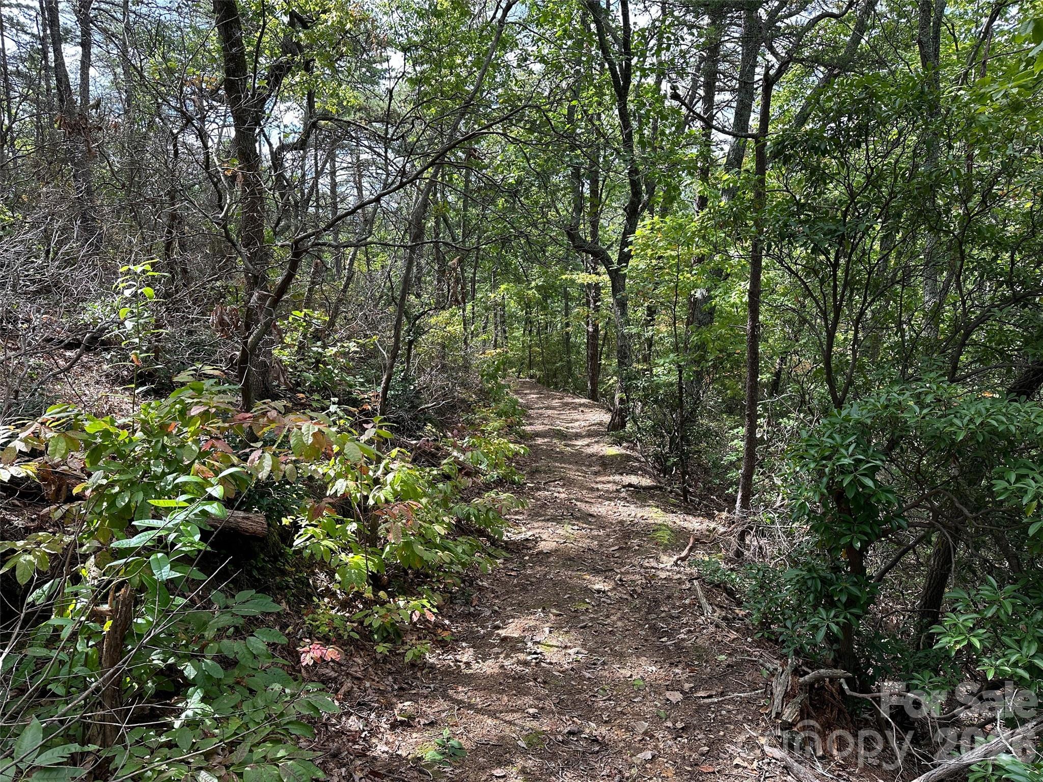 0 Hildebran Mountain Avenue Connelly Springs NC 28612