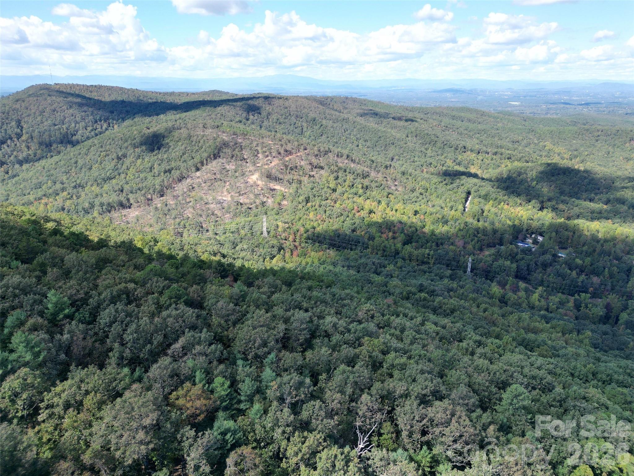 0 Hildebran Mountain Avenue Connelly Springs NC 28612