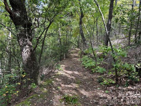 0 Hildebran Mountain Avenue Connelly Springs NC 28612