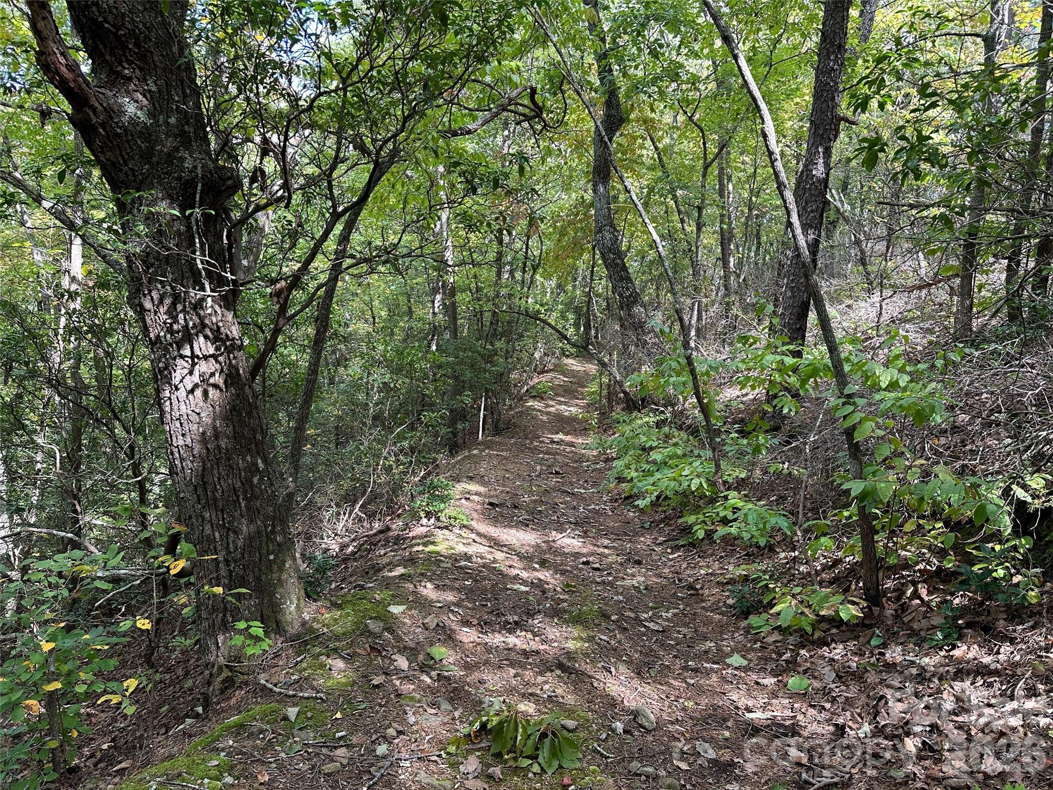 0 Hildebran Mountain Avenue Connelly Springs NC 28612