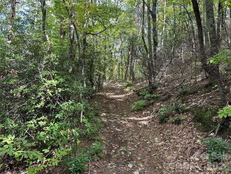 0 Hildebran Mountain Avenue Connelly Springs NC 28612