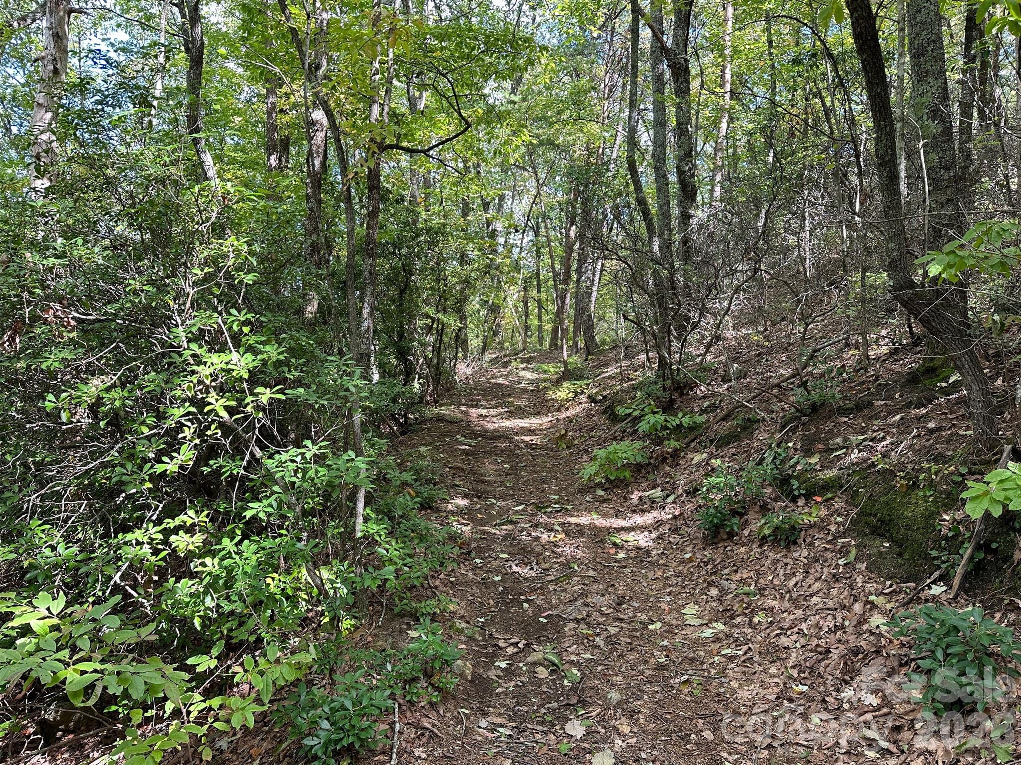 0 Hildebran Mountain Avenue Connelly Springs NC 28612