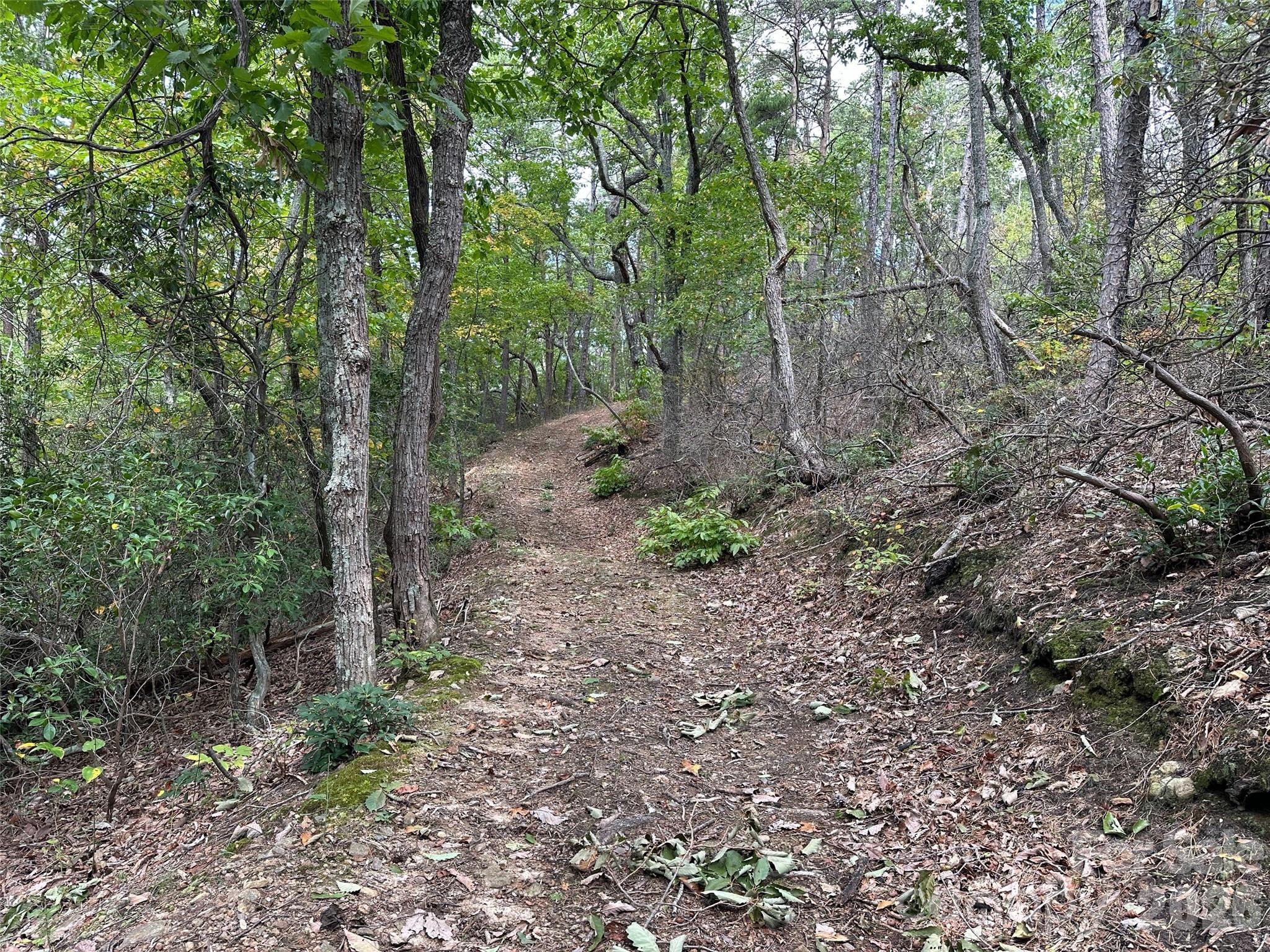 0 Hildebran Mountain Avenue Connelly Springs NC 28612
