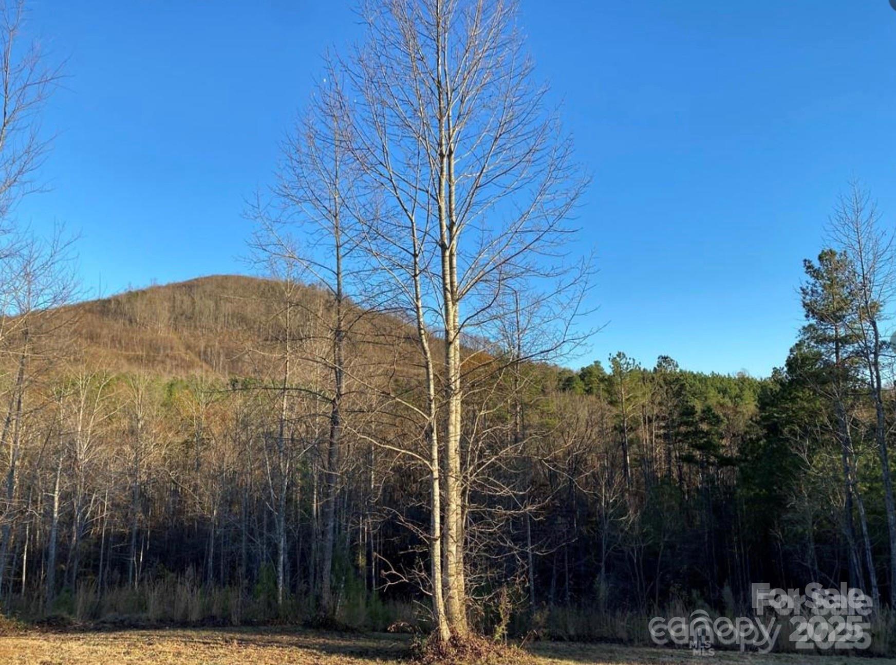 533 Pilot Ridge Road Nebo NC 28761