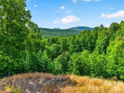 51 Falls Lane Hendersonville NC 28739