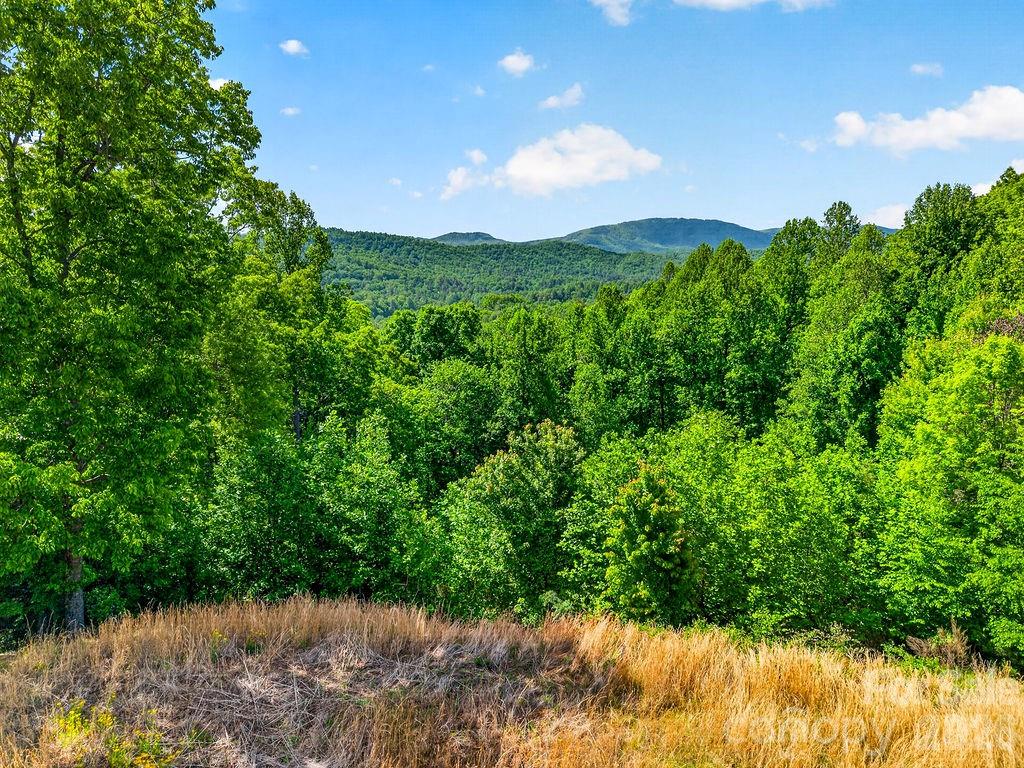 51 Falls Lane Hendersonville NC 28739