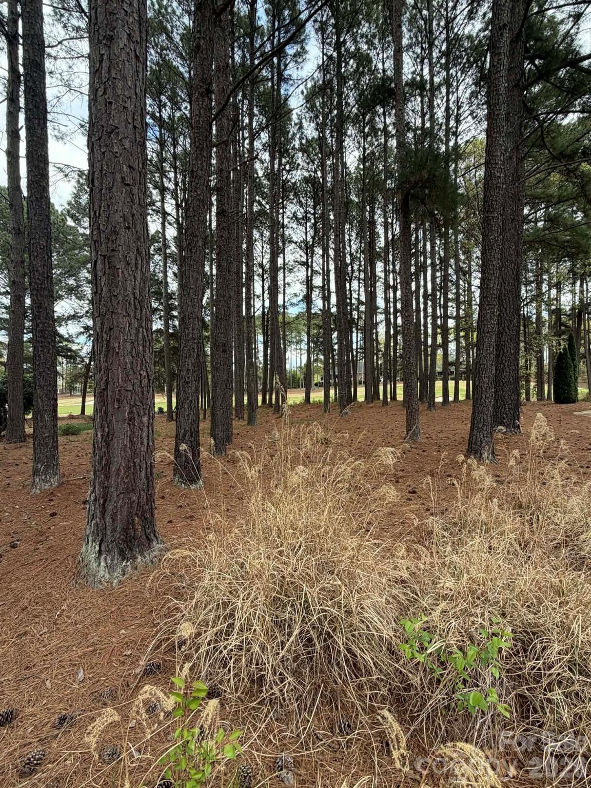 175 Yadkin Falls Road New London NC 28127