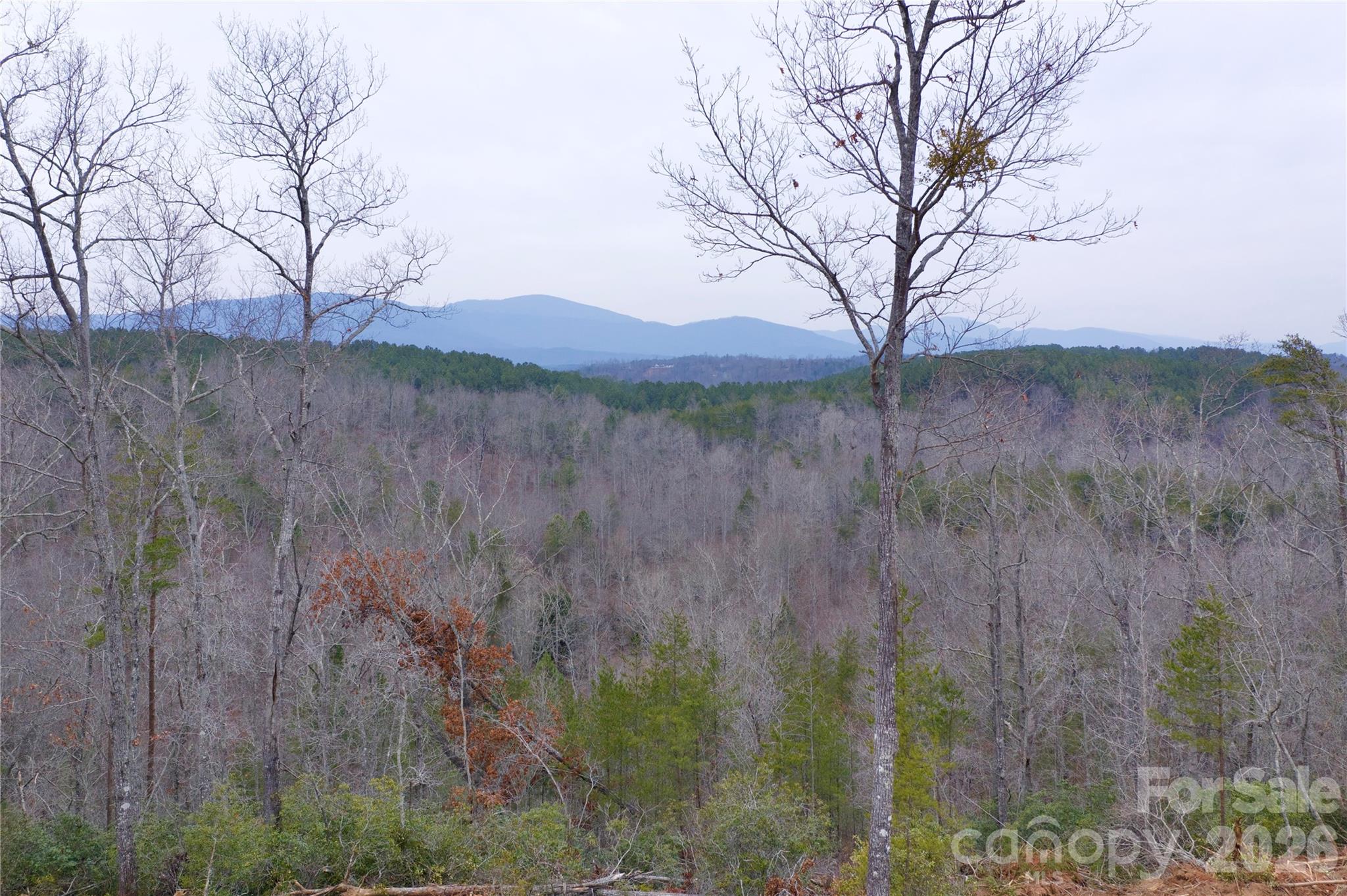 1140 Highway 9 Highway Mill Spring NC 28756